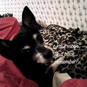 Meet your Posher, Joanne